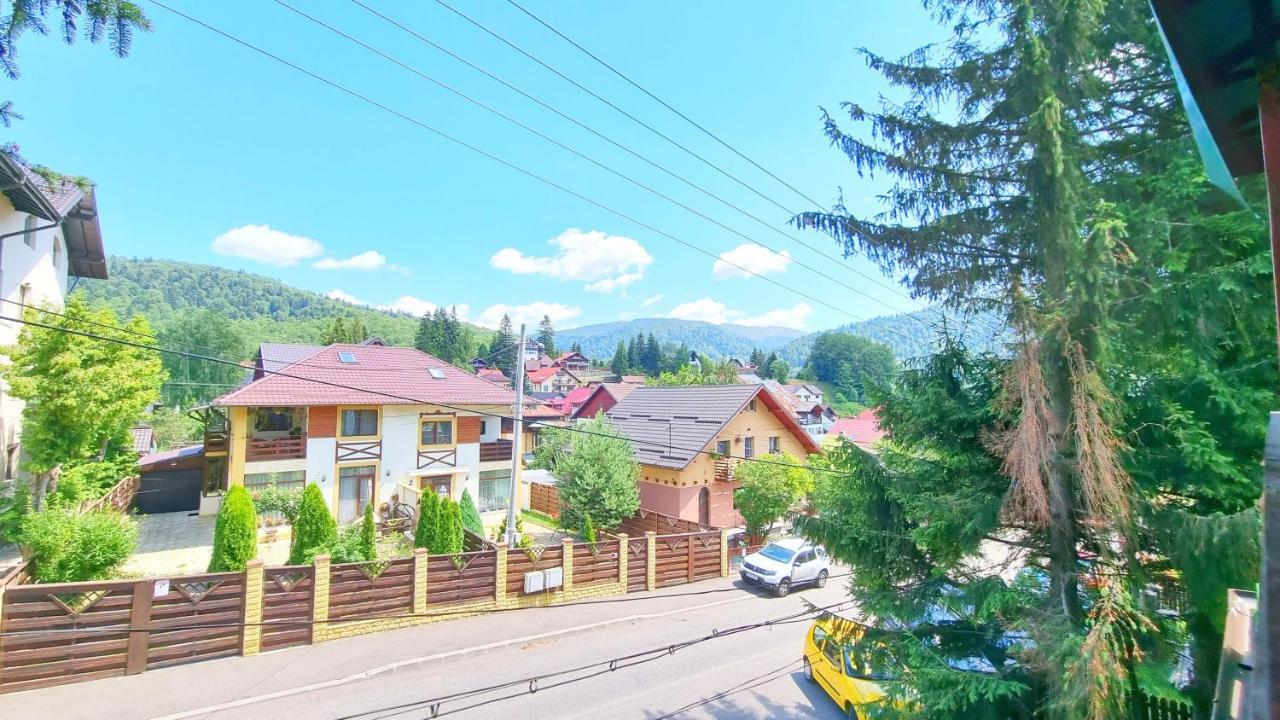 Casa Cu Brazi Hotel Szászbuda Kültér fotó